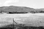 Cumbres & Toltec Scenic